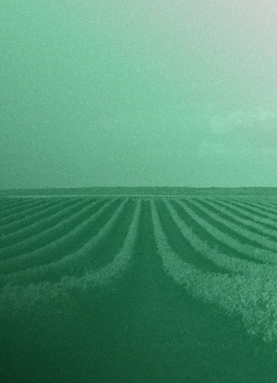 Gestão da sua propriedade rural